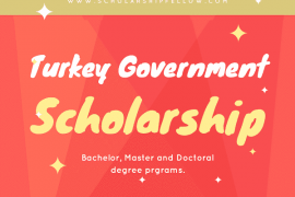 Result Announcement: Turkey Government Scholarship 2019-2020 (Turkiye Burslari Scholarship)